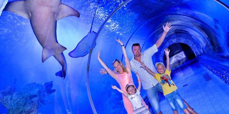 Hurghada Grand Aquariu - Egypt Tours Portal