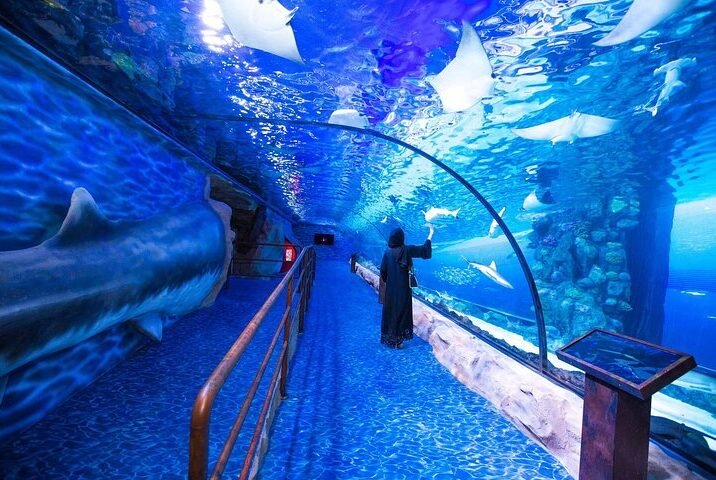 excursion-au-grand-aquarium-d-hurghada-4