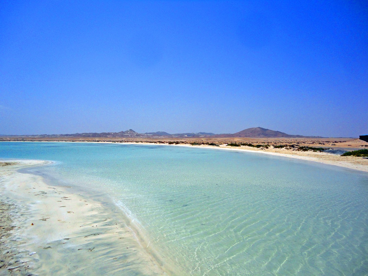 Marsa Alam Wycieczki – Sharm El Luli, Sataya Reef, żółwie i delfiny