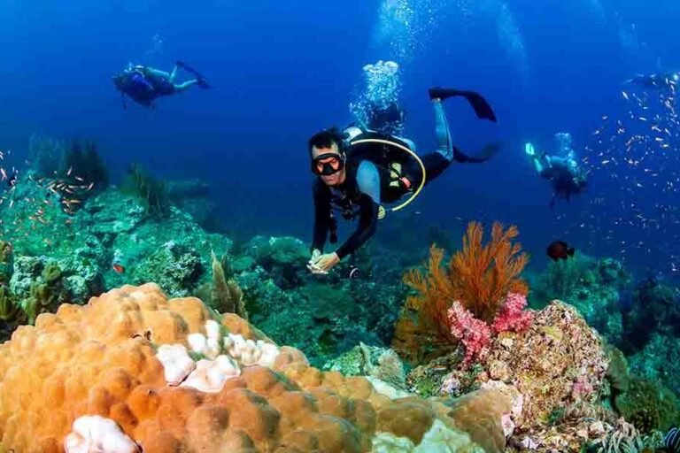 Nurkowanie w Marsa Alam (z łodzi)