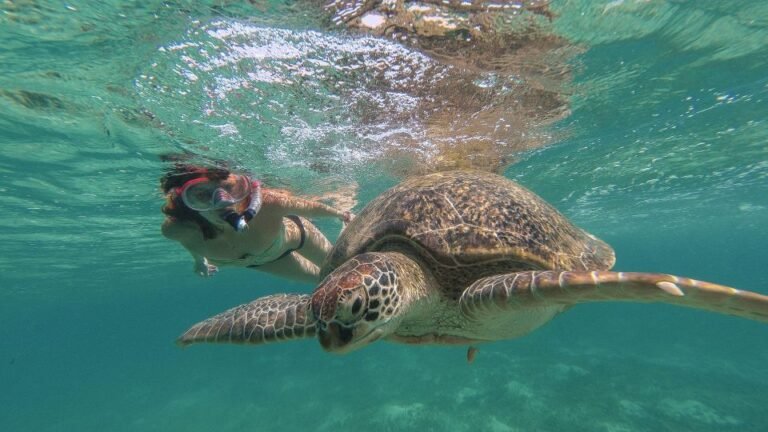 tour-en-bateau-de-marsa-alam-a-marsa-mubarak-6